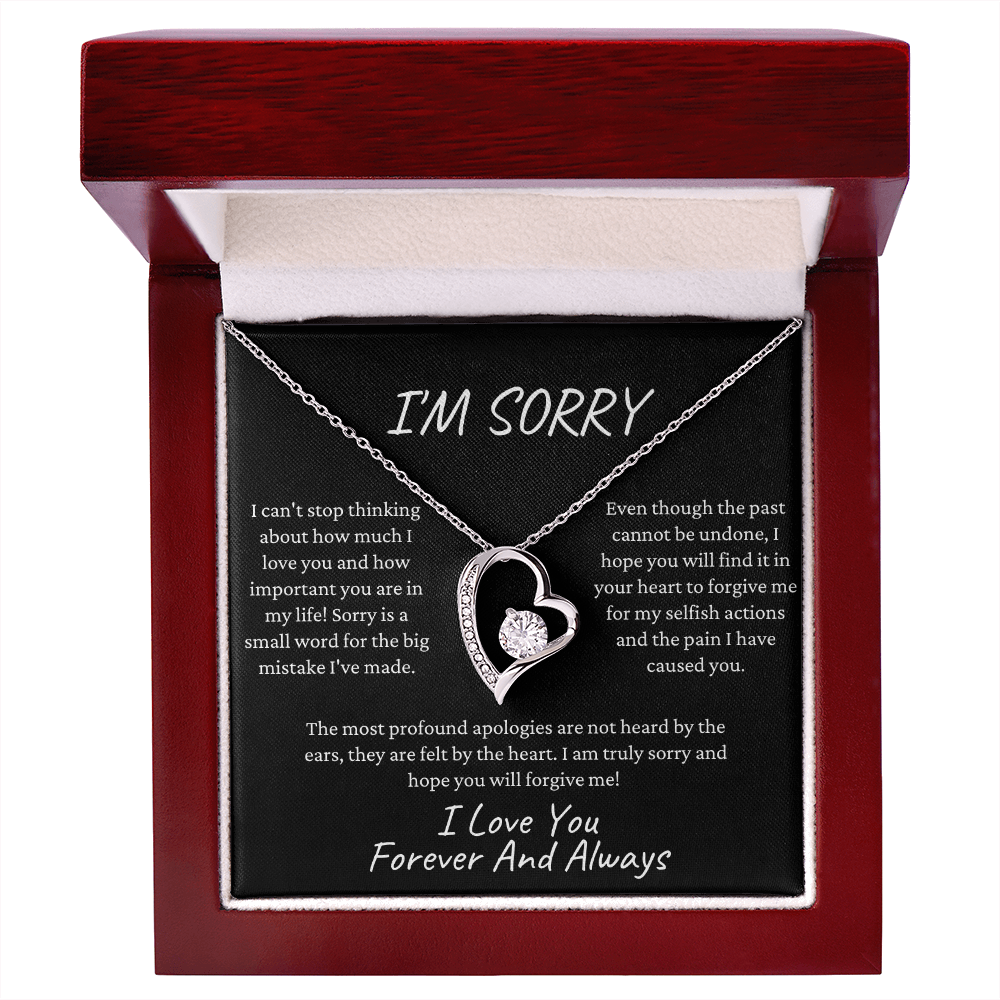I'm Sorry I Love You | Forever Love Necklace BK