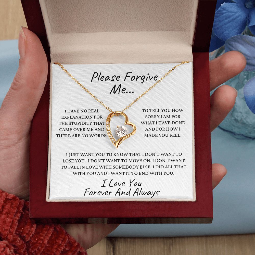 Please Forgive Me | Forever Love Necklace